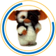 NMI-GIZMO